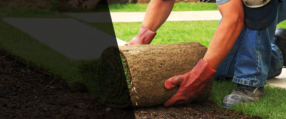 Sicklerville Landscapers